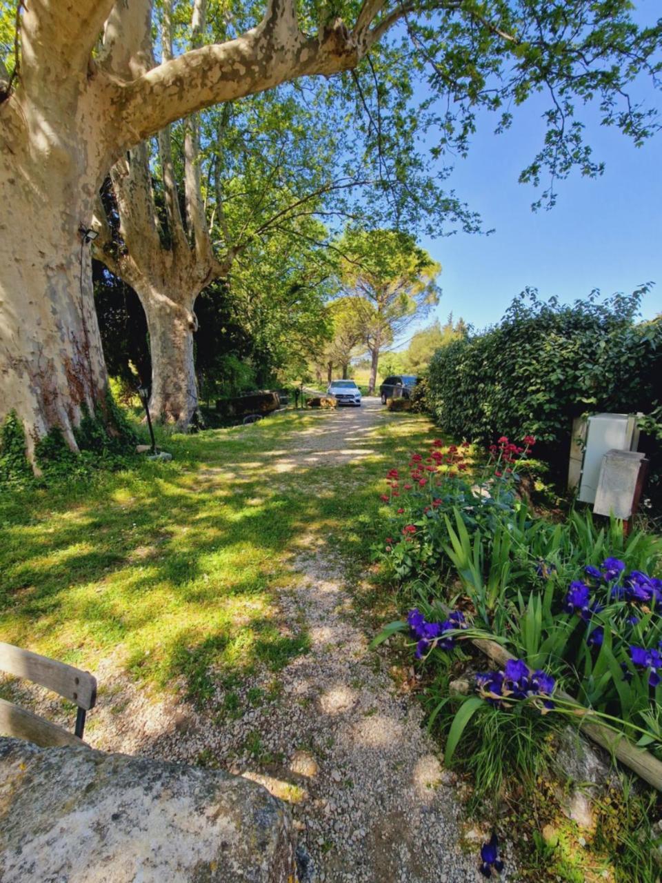 Ancien Mas Du Moulin Bed & Breakfast Eygalières Екстериор снимка